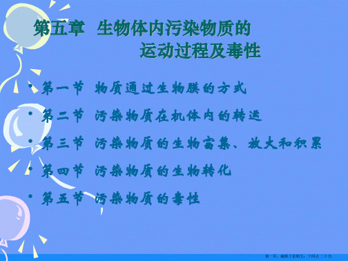 第五章 生物体内污染物质的 运动过程及毒性ppt资料