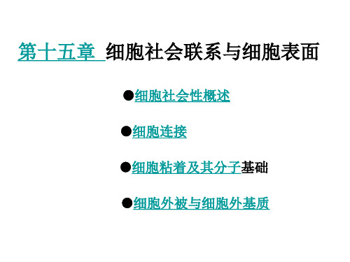 《细胞生物学》教学课件：15 细胞社会联系与细胞表面