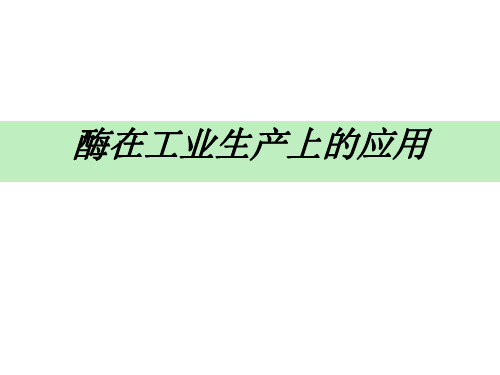 高二生物酶在工业生产中的应用2