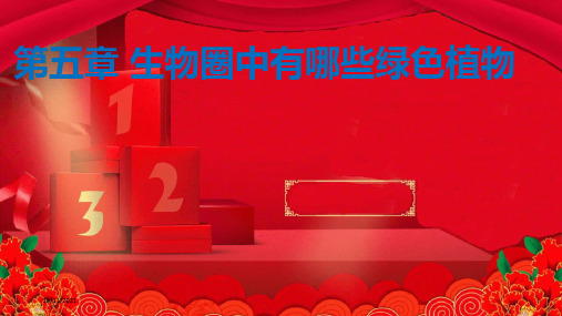 中考生物 第五章 生物圈中有哪些绿色植物复习生物课件