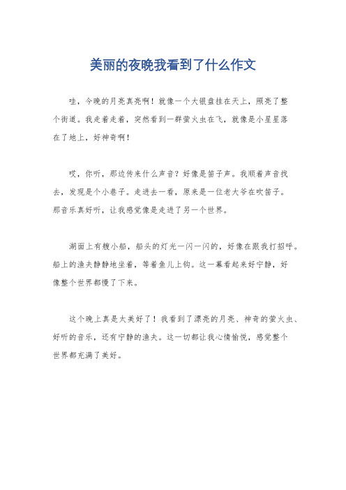 美丽的夜晚我看到了什么作文