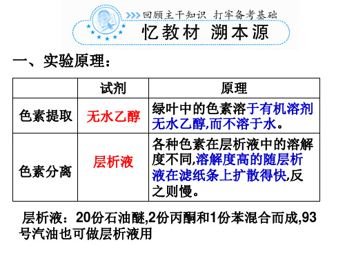 叶绿素的提取和分离