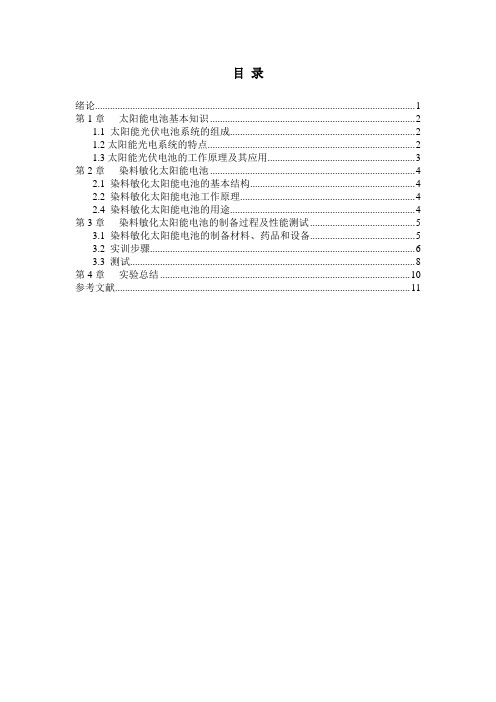 染料敏化太阳电池