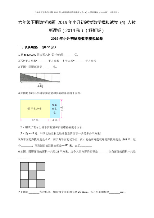 六年级下册数学试题 2019年小升初试卷数学模拟试卷 (4) 人教新课标(解析版)