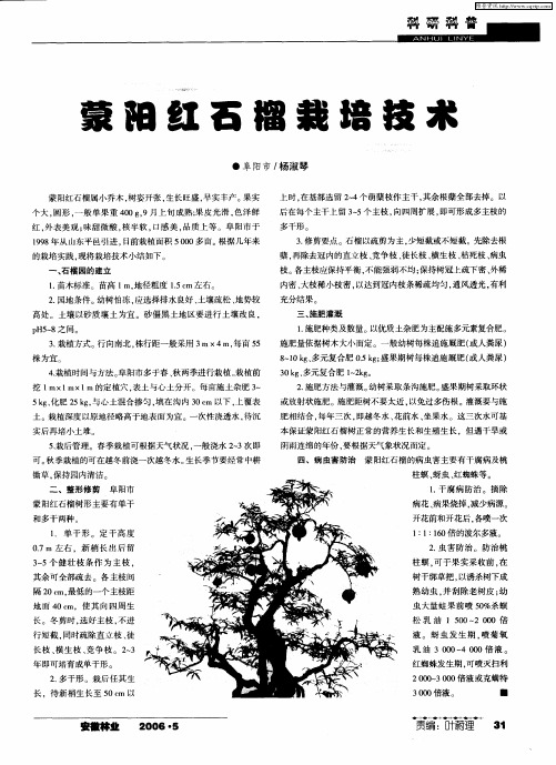 蒙阳红石榴栽培技术