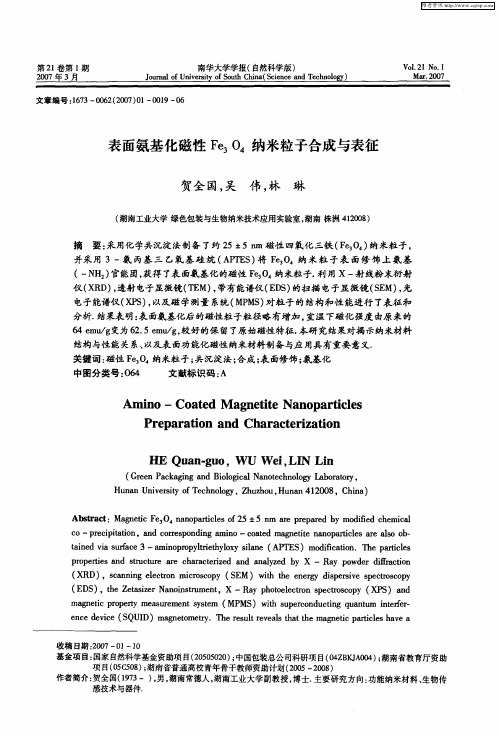 表面氨基化磁性Fe3O4纳米粒子合成与表征