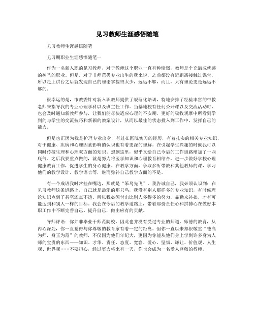 见习教师生涯感悟随笔