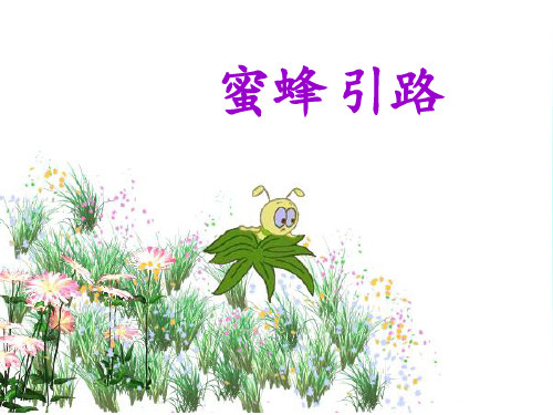 《蜜蜂引路》1PPT课件