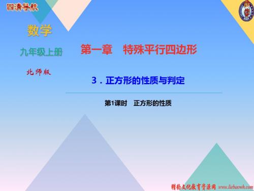 2019年第1课时 正方形的性质语文