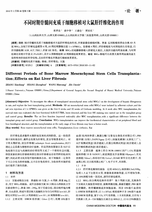 不同时期骨髓间充质干细胞移植对大鼠肝纤维化的作用