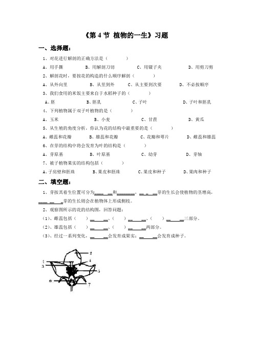 1.4《植物的一生》习题1