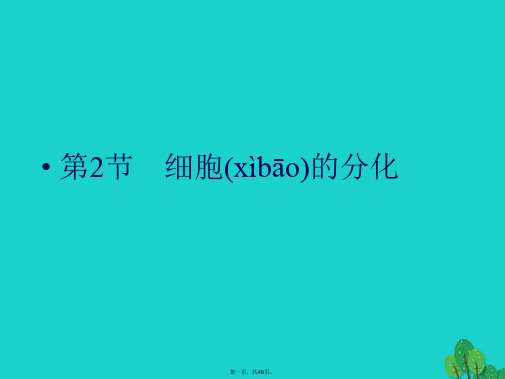 辽宁省沈阳市高中生物第六章细胞的生命历程6.2细胞的分化课件新人教版必修1