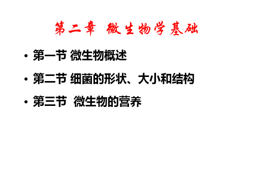 生物选矿技术 第二章 微生物学基础