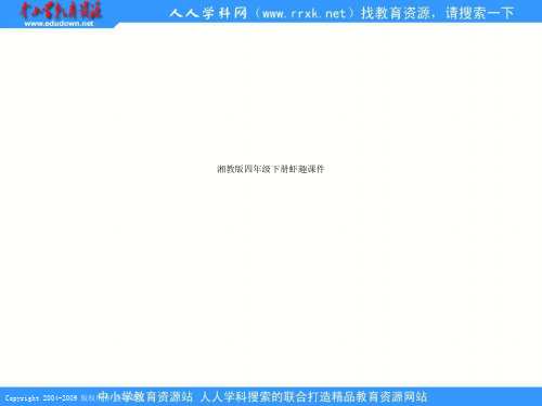 湘教版四年级下册虾趣课件