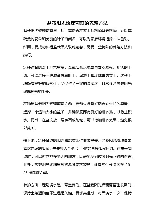 盆栽阳光玫瑰葡萄的养殖方法