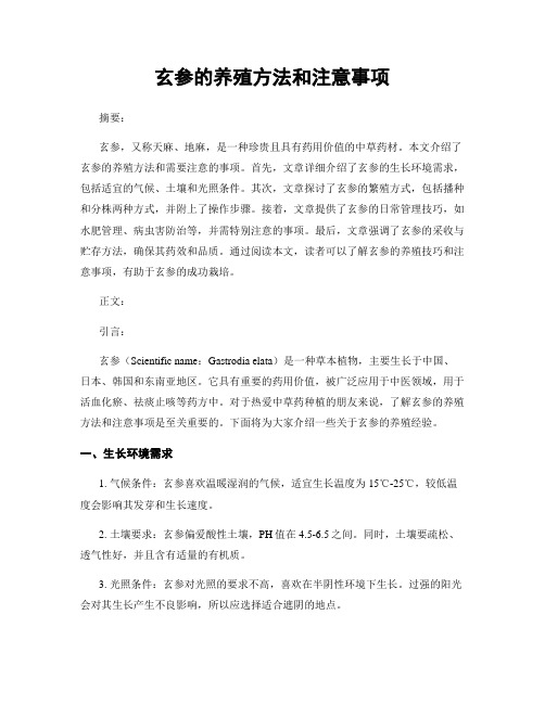 玄参的养殖方法和注意事项