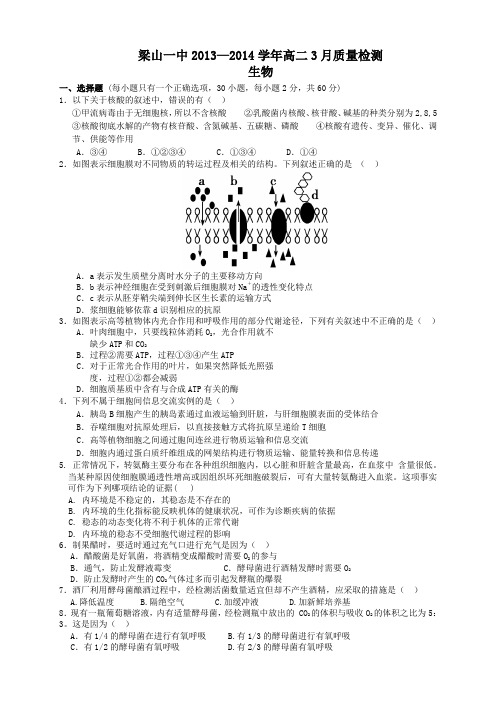 山东省济宁市梁山一中高二3月质量检测 生物