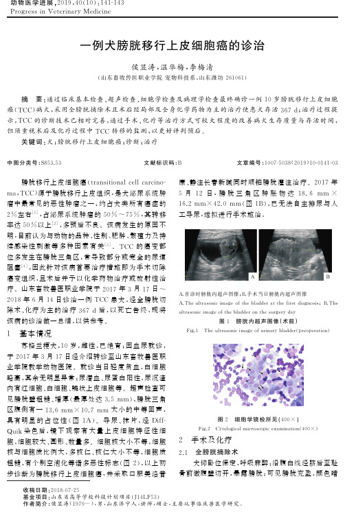 一例犬膀胱移行上皮细胞癌的诊治
