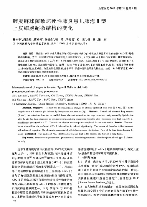 肺炎链球菌致坏死性肺炎患儿肺泡Ⅱ型上皮细胞超微结构的变化