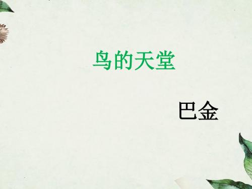 四年级语文《鸟的天堂》课件ppt