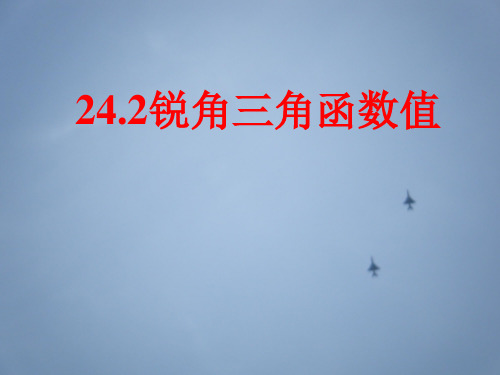 沪科版数学九年级上册 23.1 锐角三角函数 课件(共13张PPT)