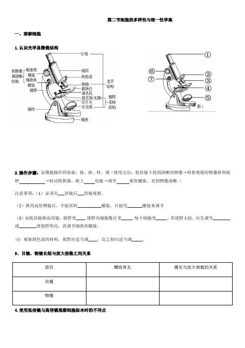 细胞的多样性和统一性  学案【新教材2019人教版】