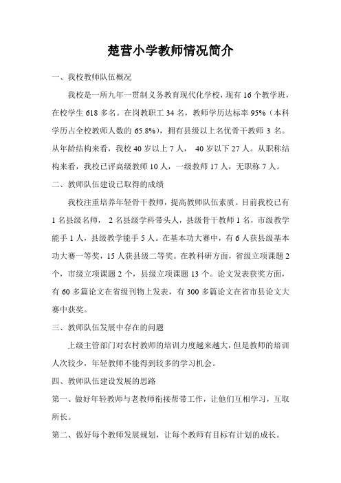 学校教师队伍概况