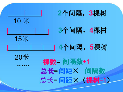 人教版五年级上册数学植树问题(两端都不栽、一端栽)课件