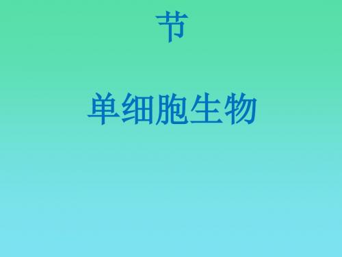 单细胞生物PPT课件8