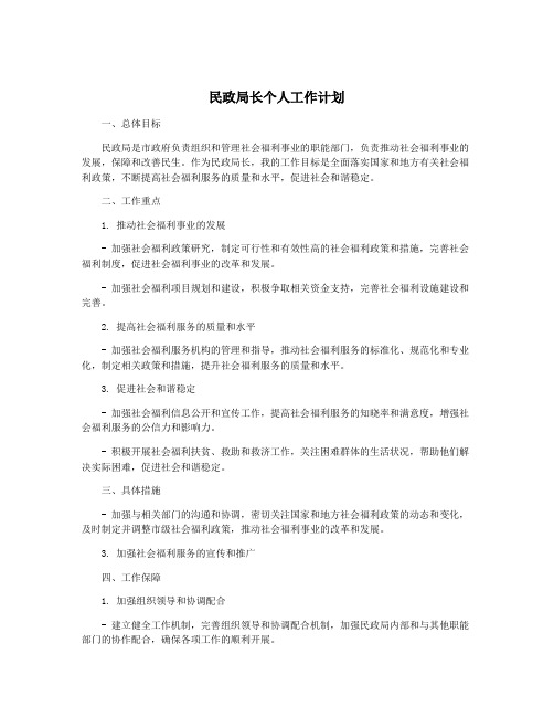 民政局长个人工作计划