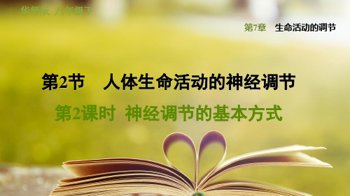 华师版科学八年级下册第七章《生命活动的调节》7.2.2  神经调节的基本方式