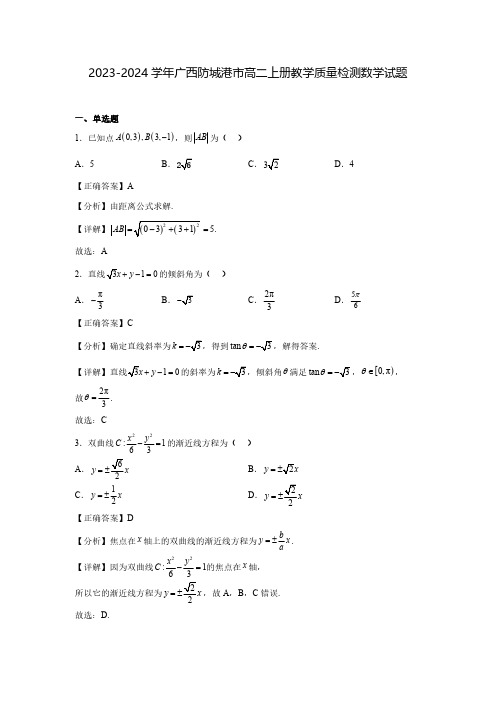 2023-2024学年广西防城港市高二上册教学质量检测数学试题(含解析)