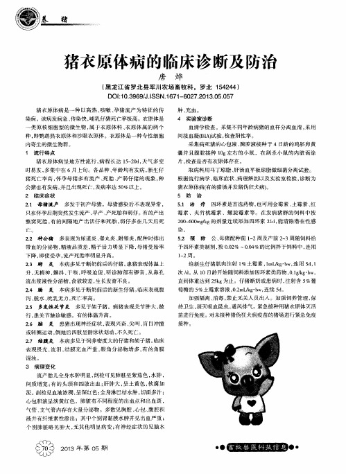 猪衣原体病的临床诊断及防治