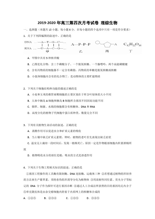 2019-2020年高三第四次月考试卷 理综生物