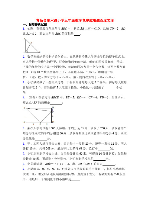 青岛台东六路小学五年级数学竞赛应用题百度文库