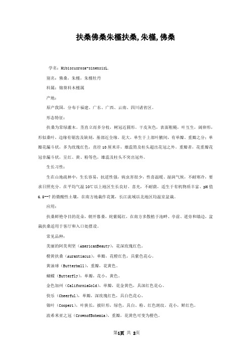 扶桑佛桑朱槿扶桑,朱槿,佛桑