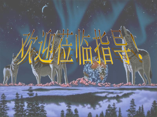 苏教版七年级语文上册《五单元 关注科学 专题:狼 课内选文阅读》研讨课件_1
