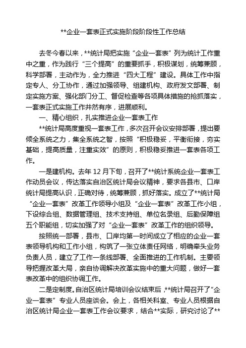 企业一套表正式实施阶段阶段性工作总结