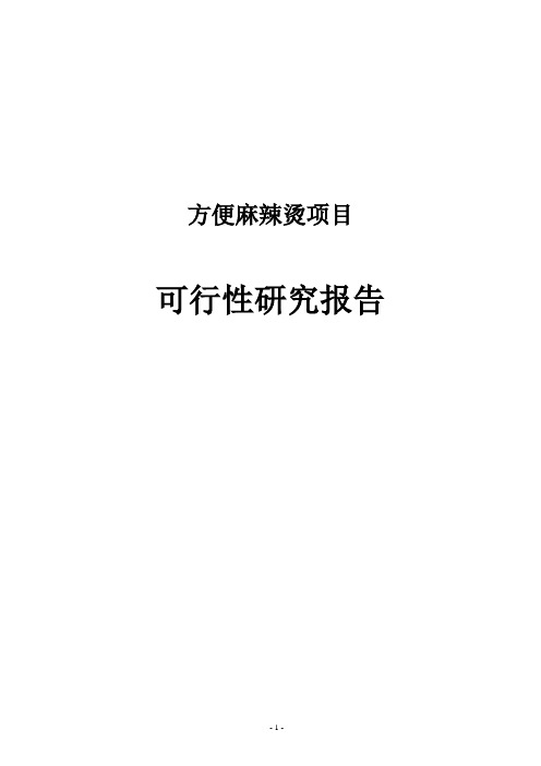 方便麻辣烫项目可行性研究报告