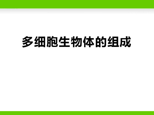 七年级生物上(苏教版)  多细胞生物体的组成