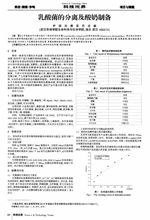 乳酸菌的分离及酸奶制备