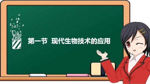 9.24.1 现代生物技术的应用课件苏教版生物八年级下册