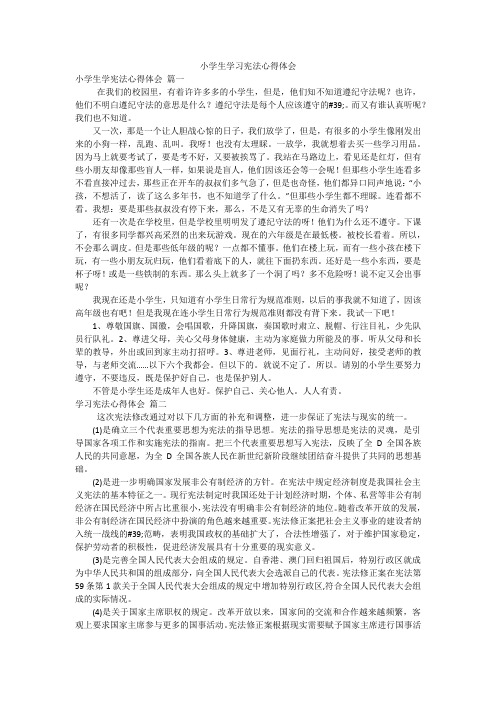 小学生学习宪法心得体会