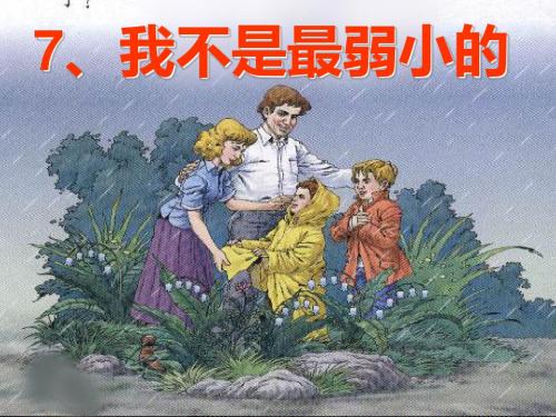 人教版二年级语文下册我不是最弱小的-课件PPT 15页PPT文档
