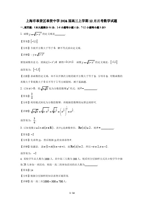 精品解析：上海市奉贤区奉贤中学2024届高三上学期12月月考数学试题(解析版)