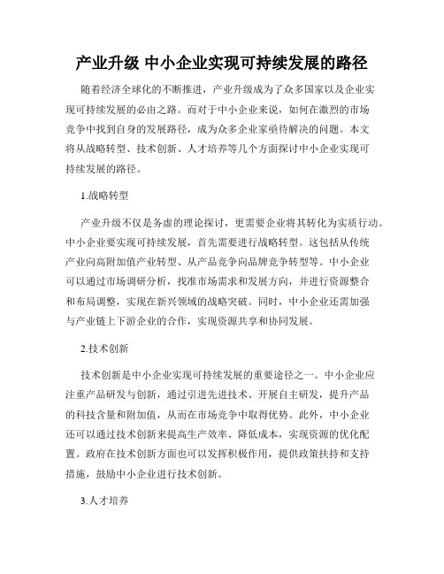 产业升级 中小企业实现可持续发展的路径