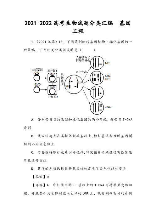 2021-2022高考生物试题分类汇编—基因工程