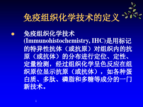 免疫组织化学染色SP技术