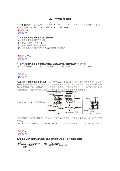 高一生物核酸试题
