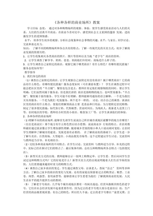 《各种各样的商业场所》教案